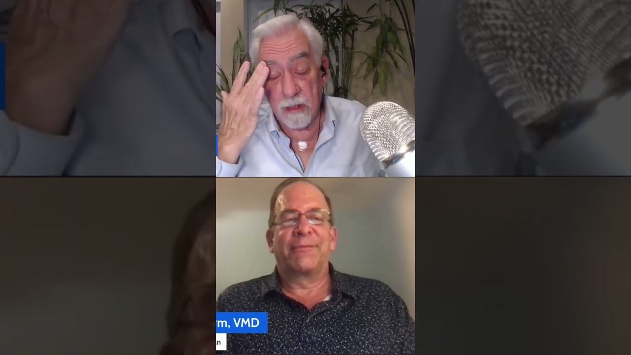 Why antibiotics and steroids only mask pet ear problems