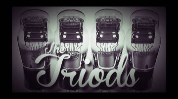 The Triods-Spedetwist