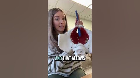 Pelvic wands can feel tricky at first, but they don’t have to be 🪄 The secret? Smart positioning