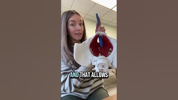 Pelvic wands can feel tricky at first, but they don’t have to be 🪄 The secret? Smart positioning