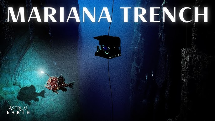 Something Mechanical Just Moved in the Mariana Trench — And Camera's Now  Exposed The Worst - YouTube
