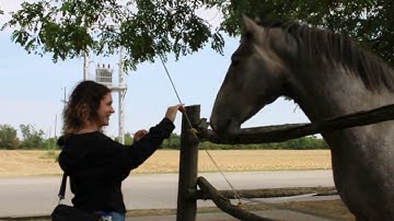 Irmak Ay | AIESEC in İstanbul 25.26 LCVP Application Video