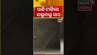 ପାଣି ଟାଙ୍କିରେ ସାଲୁବାଲୁ ସାପ | Snake In Water Tank | 27 Snakes Found In Water Tank In Haridwar