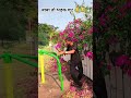बाबा भी भड़क गया॥🤣🤣 #youtubeshorts #funny #comedy #harekfriendkaminahotahai
