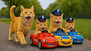 Mama Cat Buys Police Mcqueen Cars For Kitten Cats   Funny Cat Family Adventure