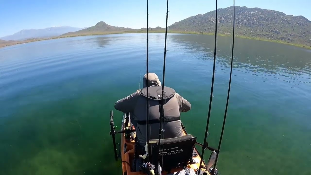 Lake Perris Swimbait Bass Fishing 4/11/25