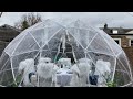 Garden Igloo Dining Experience