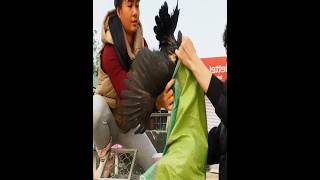 Amazing Market Day | Huge Crowd &amp; Great Sales! 🛍️🔥 2.1M