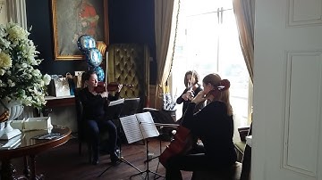 Simply Strings at Hodsock Priory