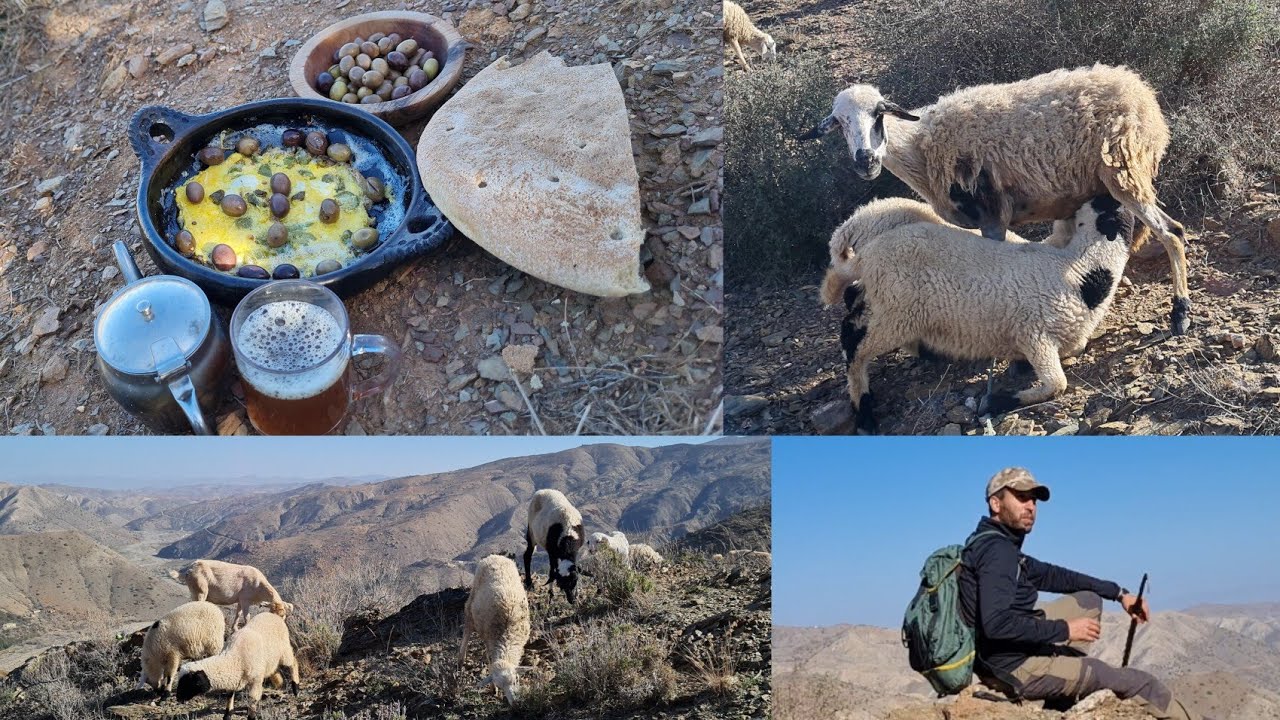 أنا هنا في أيت وياغر وأرعى الغنم في وسط جبال..نواحي الحسيمة