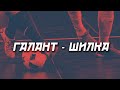 ГАЛАНТ - ШИЛКА