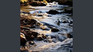 River Currents Daybreak Melody