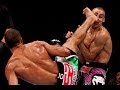 トップ 10 ベスト MMA / UFC ノックアウト ヒドすぎる　NEW!!