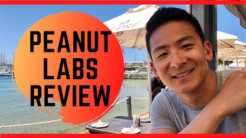 Peanut Labs Review - Is This A Waste Of Time?