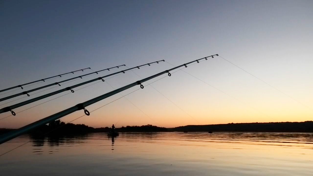 ЛЮТЫЙ КЛЁВ САЗАНА И СОМА НА ЯМЕ! БЕШЕНАЯ РЫБАЛКА НА РЕКЕ ДОН