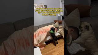 Farketmez Dememeliydim. 😂