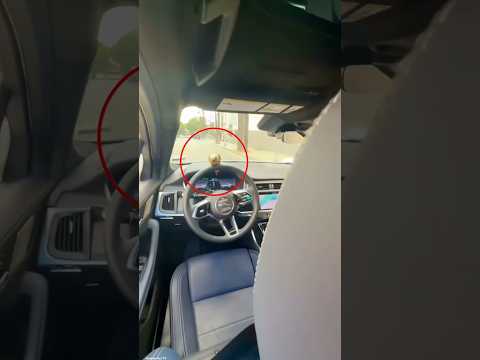 tota chala raha tha kaar 😳❤️