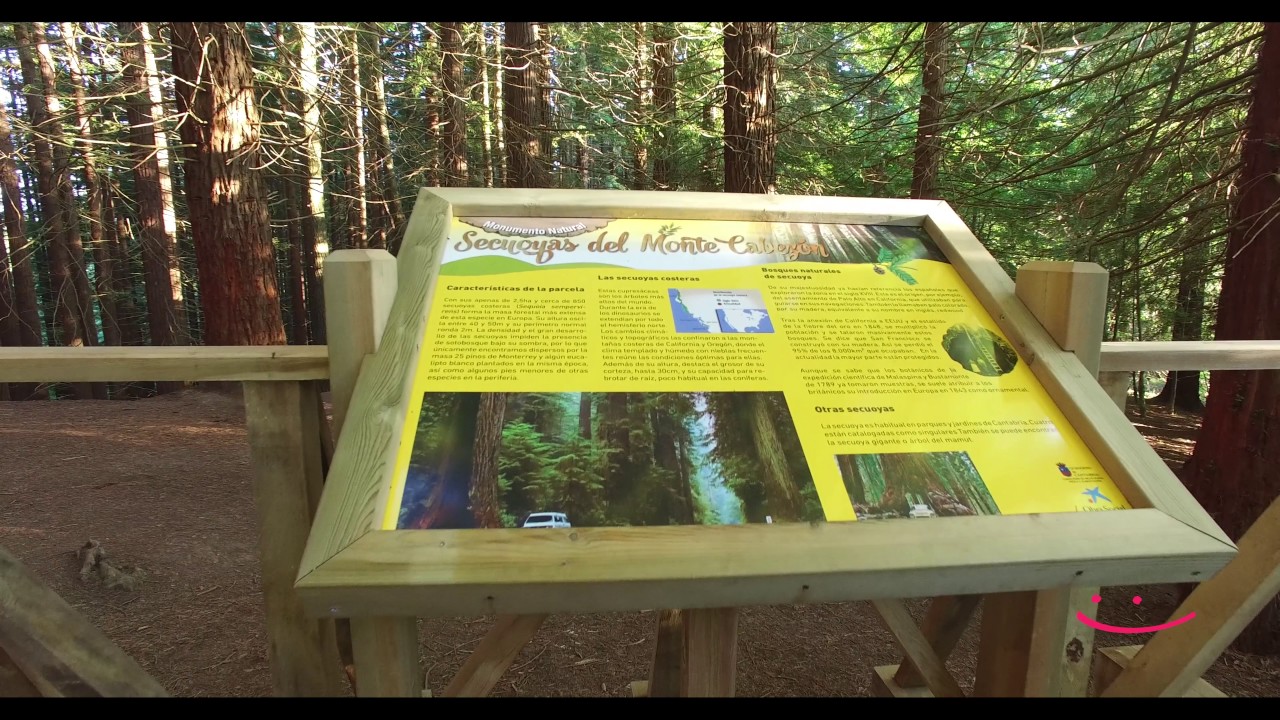 Monumento Natural de las Secuoyas del Monte Cabezón