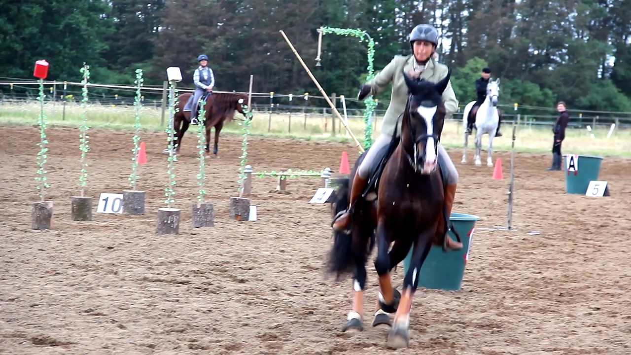 Working Equitation Turnier Freystadt 2017, Speedtrail Klasse S, Katrin Frankenberger