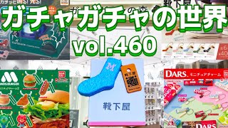 もりしぃのガチャガチャの世界vol.460【ガチャガチャ】