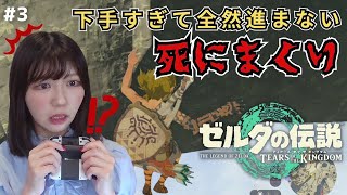 【ゼルダの伝説 ティアーズ オブ ザ キングダム】なかなか祠にたどり着かない #3【初見顔出し実況プレイ】