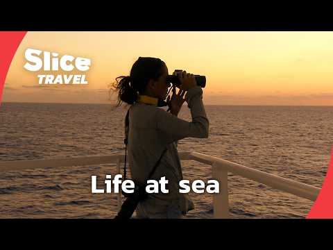 Exceptional boats, stories from the sea | SLICE TRAVEL | FULL DOC