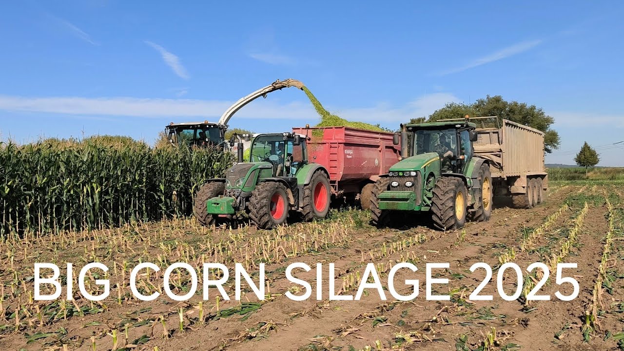 🌽 BIG CORN SILAGE 🌽 Siláže na Hané 2025 🌽🌽 1/4