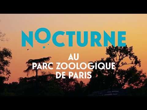 Nocturne 2017 au Parc zoologique de Paris