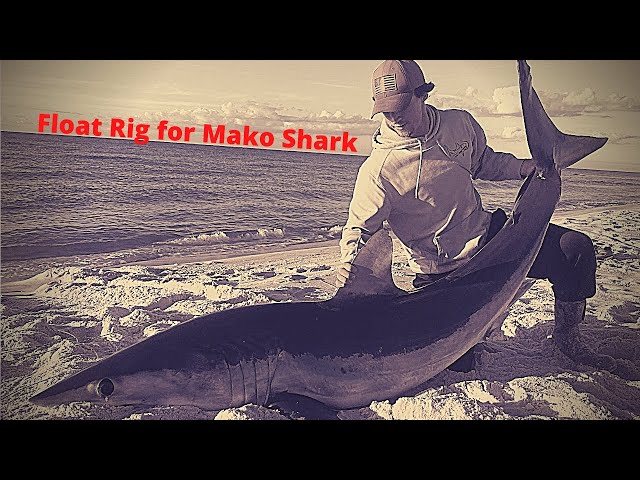 How to Use-- Terra Firma Tackle Float Rig-- (Land Base Shark Fishing Leader), Mako Shark