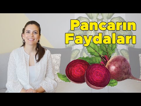 Pancarın Faydaları Nelerdir?