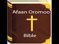 2018 New Bible Android Afaan Oromoo On The Play Store Tutorial 1k People Downloaded 
