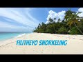 Filitheyo Maldives House Reef Snorkeling (4K Quality)