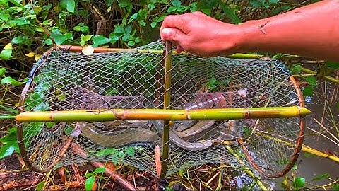 Bẫy Cá Không Mồi Ngay Cửa Xả Lũ Dính Quá Trời Cá