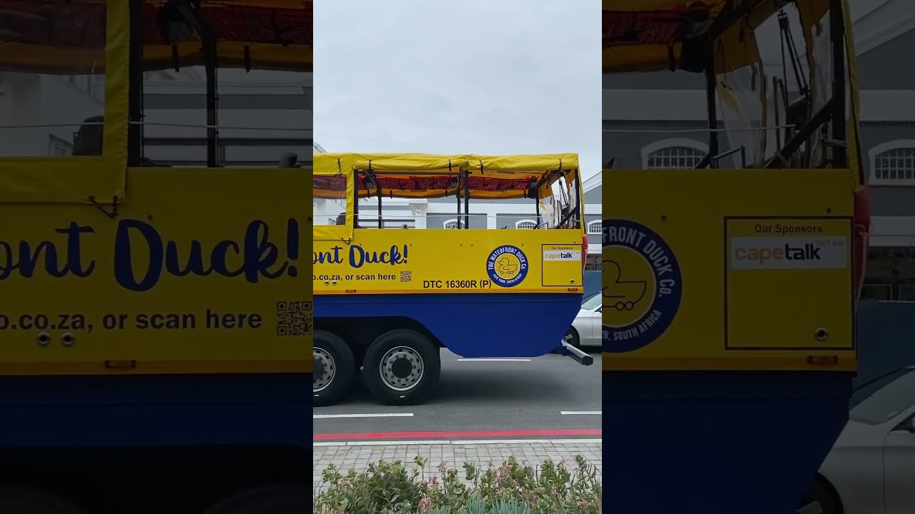 ❤️Come Ride the Waterfront Duck 