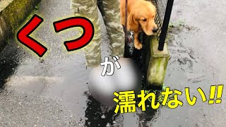 雨の日でも大丈夫！靴が濡れない魔法のアイテム