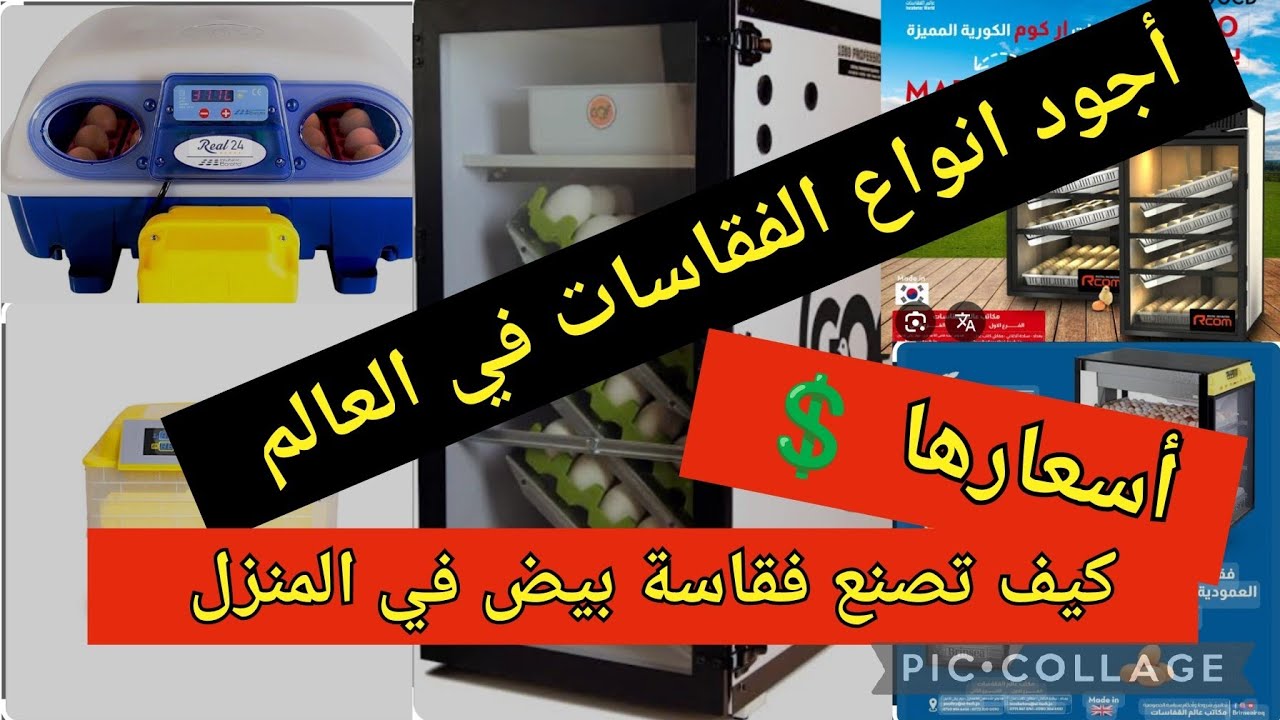 أفضل  أنواع الفقاسات في العالم 👌أسعار بعضها الفقاسات 💲إصنع فقاسة بيض بنفسك في المنزل 🐔🥚#اكسبلور
