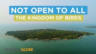 NOT OPEN TO ALL: RAMBUT ISLAND'S KINGDOM OF BIRDS (PART 1)