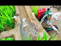 mini diesel engine water pump science project | water pump | Diy tractor
