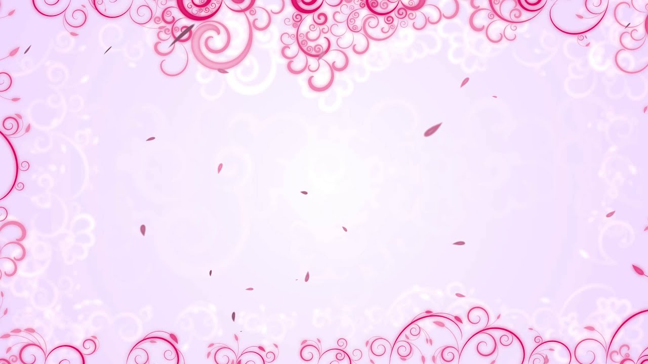 4K White & Pink Floral & Leaves Frame Background UHD Animation AA VFX -  YouTube