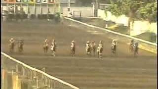 11may04 r10