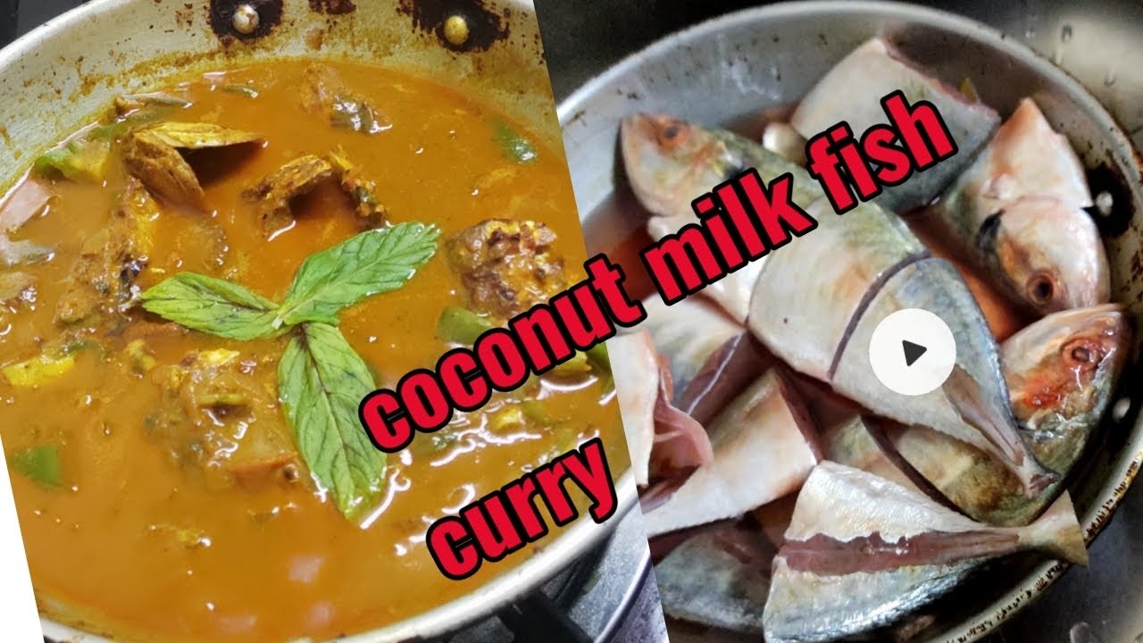 coconut milk fish curry eppadi seivathu parkalamashashasha0709 