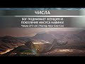 Числа 27:1-23 | Бог поднимает женщин и поколение Иисуса Навина!