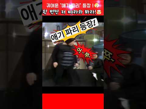 귀여운 "애기 파리" 등장 !😲  #심형래  #빵실이 #shorts thumbnail