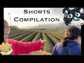 Crazy FUN Vlog Shorts Compilation with LOTS of Memories! 仲良し姉妹の思い出たっぷりShorts盛り沢山！！