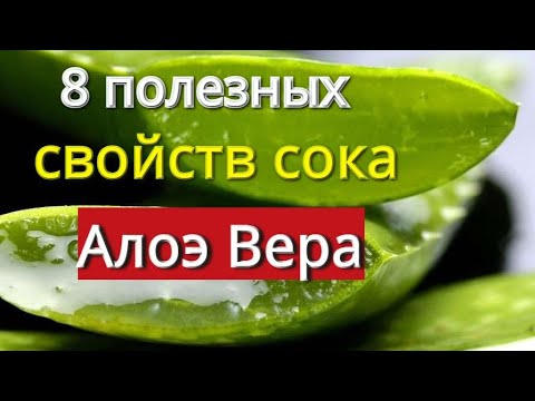 8 полезных свойств сока Алоэ Вера,Aloe Vera,.#АлоэВера,#сокалоэвера,