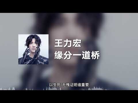 王力宏 - 缘分一道桥 (动态歌词)