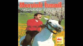 Mersinli İsmail - Anadolu Sevdası Resimi