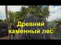 Провинция Лоэ с высоты птичьего полета. Древний каменный лес.