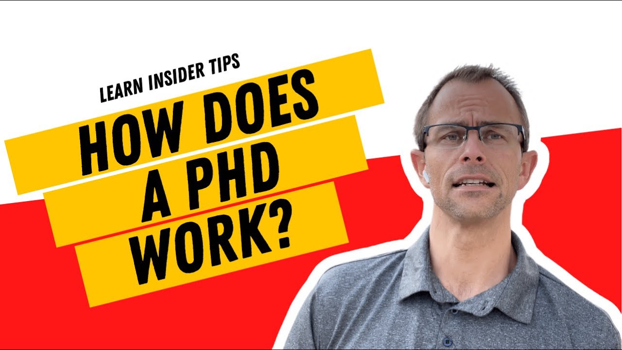 does phd work for bv