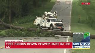 Trees fall in Harnett County, knocking out power
